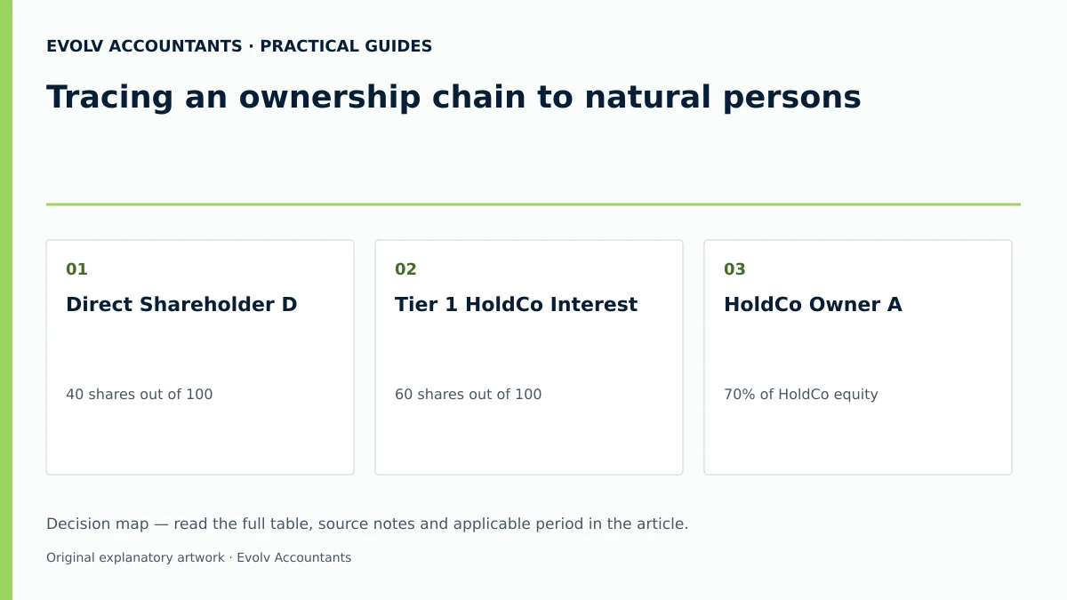 Tracing an ownership chain to natural persons: Direct Shareholder D; Tier 1 HoldCo Interest; HoldCo Owner A.